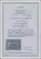 Steuer Certificate