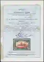 Steuer Certificate