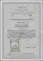 Steuer Certificate