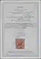 Steuer Certificate