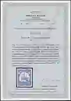 Steuer Certificate