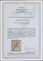 Steuer Certificate