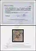 Jäschke-Lantelme Certificate