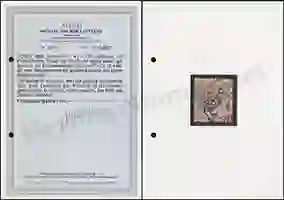 Jäschke-Lantelme Certificate