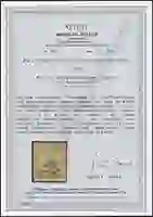 Steuer Certificate