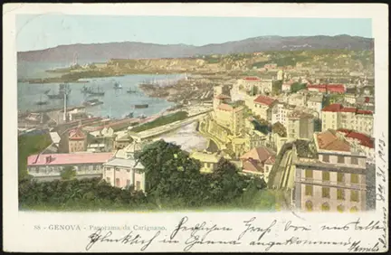 31 Dec 1903 (rear)