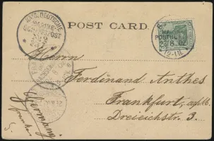 <i>Pisa</i> Provisional (front)
