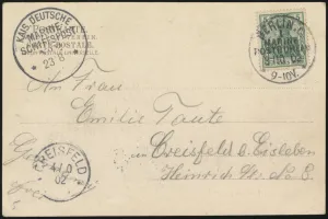 <i>Pisa</i> Provisional (front)
