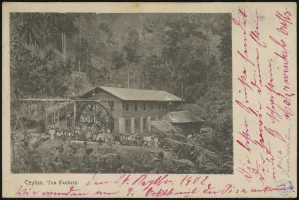 <i>Pisa</i> Provisional (rear)