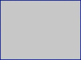 MiNr. 438 X