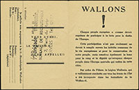 Recruitment Flyer